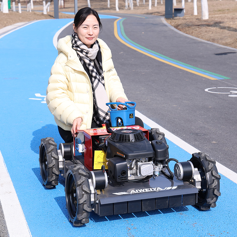 Customized Lawn Mower Robot Fo - đánh giá và giá Robot Wheel