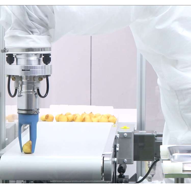 6-Axis CNC Robotic Arm with Li - đánh giá và giá Robot Gripper